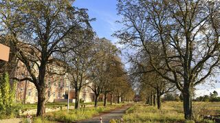 Die alte Kastanienallee auf dem Gelände der ehemaligen Spinelli-Kaserne wird auch Teil der Bundesgartenschau 2023.