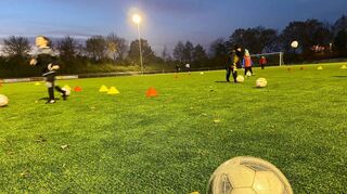 Der neue Kunstrasen im Sport- und Freizeitzentrum Edingen-Neckarhausen ist seit rund einem Jahr in Betrieb. Weil es immer noch unbefugte Benutzer gibt, die sogar mit Fahrzeugen auf dem Platz unterwegs sind, will Bürgermeister Michler jetzt doch einen Zaun rund um die Anlage, um Schäden zu verhindern.