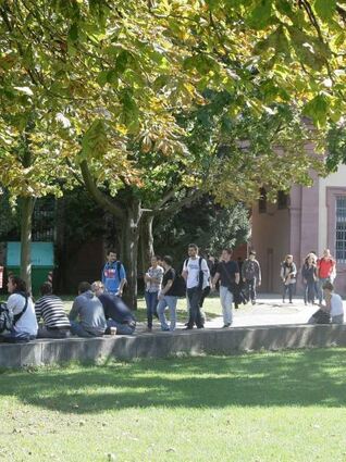 Auf der Schlossparkwiese kam es im Juni 2021 zu einer Attacke.