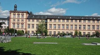 Auf der Schlosspark-Wiese kam es zu dem Angriff.