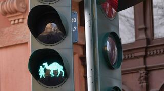 Das einhöckrige Kamel ziert nun 16 Ampeln in der Landauer Innenstadt.