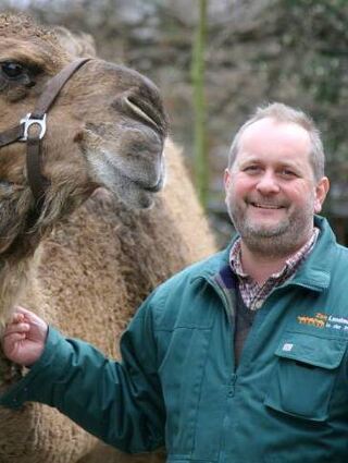 Zoo-Direktor Heckel mit einem der vier Landauer Dromedare.
