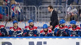 Adler-Trainer Pavel Gross am Mittwochabend beim Spiel gegen Straubing.