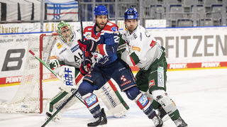 Heute treffen die Adler Mannheim im Auswärtsspiel auf den ERC Ingolstadt.