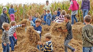 <p>Vergnügen am Maislabyrinth: Mit dem Oktoberfest ging die Saison offiziell zu Ende, der Irrgarten bleibt bis 13. Oktober geöffnet.</p>
