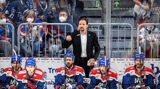 Pavel Gross hat dem tschechischen Verband abgesagt.