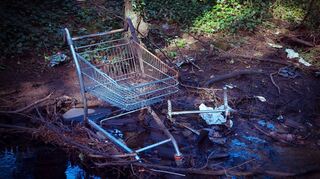 Der Kapitalismus schadet der Umwelt – das glauben viele Menschen. Studien zeigen: Auf lange Sicht gesehen macht Kapitalismus das Klima sogar besser.