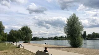 Den Rhein beobachten ja, im Rhein baden nein: Am Strandbad in Mannheim gilt ein Schwimmverbot.