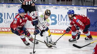 Die Adler Mannheim beim Spiel gegen die Eisbären Berlin.
