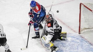 Nigel Dawes von den Adler Mannheim und Oleg Shilin von den Krefeld Pinguinen während des Spiels.