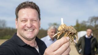 Frank Fischer berichtet seinen Gästen Wissenswertes über den Spargel – und zeigt eine Spargelwurzel.