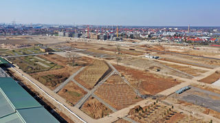 Bundesgartenschau Mannheim ein Jahr vor dem Start: Hinter der U-Halle erstreckt sich das Experimentierfeld - ein Teil des 62 Hektar großen Geländes, in dem schon 1200 der ingesamt 2000 Bäume stehen.