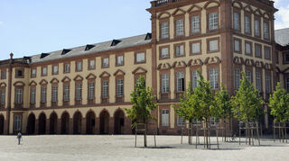 Die Universität Mannheim.