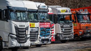 Lkw-Fahrer (hier bei einer Protestaktion gegen hohe Spritpreise in Nordrhein-Westfalen) müssen ihre Führerscheine alle fünf Jahre verlängern lassen.
