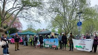 Die Bürger protestieren gegen die drohende Fällung alter Bäume am Damm.