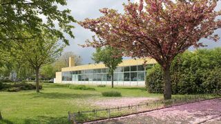Wer noch einmal in das Ilvesheimer Hallenbad will, hat nur noch wenige Tage Zeit. Ab Samstag schließt es dauerhaft für die Öffentlichkeit.