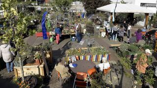 Seit zehn Jahren werden im Hack-Museumsgarten auf dem Hans-Klüber-Platz nicht nur Pflanzen gehegt, es finden auch kulturelle Events statt.