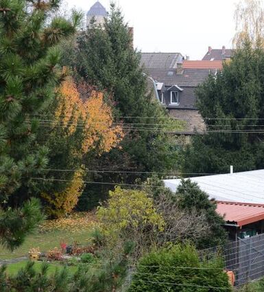 In diesem Bereich sollen die Parkplätze gebaut werden.