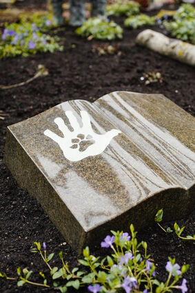 Ein Mustergrab mit symbolhaften Abbildungen einer Hand und einer Tierpfote liegt auf einem Grabfeld auf dem Friedhof. Wer sein verstorbenes Haustier nicht einfach in Tierkörperbeseitigungsanlage entsorgen und seinem Liebling auch im Tode nah sein will, muss lange suchen. In Ladenburg gibt es die Möglichkeit, dass Tierhalter sich im Tod mit ihren vierbeinigen Lieblingen vereinen.