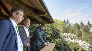 Genießen den Ausblick vom Pavillon über den prächtigen Rhododendren am Königstuhl: Peter Hauk (v.l.), Eckart Würzner und Ernst Baader.
