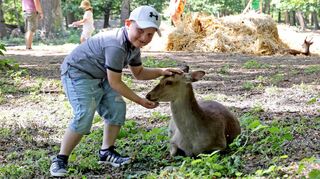 Der sechsjährige Benedikt freut sich über die Möglichkeit, freilaufende Wildtiere zu streicheln.