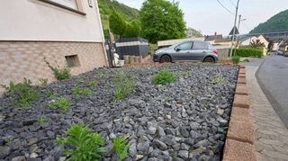 Schottergärten wie diesem will der Obst- und Gartenbauverein Ilvesheim den Kampf ansagen.