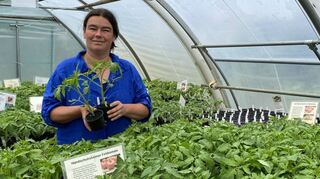 Melanie Grabner inmitten ihrer Tomatenpflänzchen.