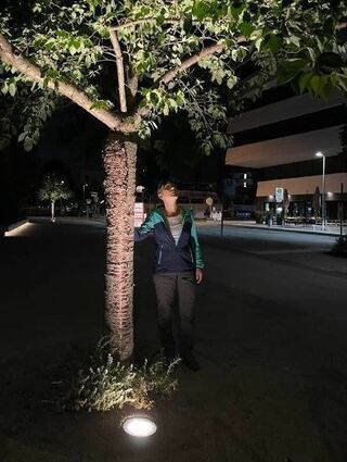 Nachtretterin Brigitte Heinz mit einem angestrahlten Baum.