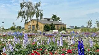 Die Rosen und Stauden blühen jetzt schon: Hier, an der alten Heizzentrale der US-Armee auf dem Spinelli-Gelände, soll ein großer Biergarten entstehen. Die Heizzentrale selbst wird Hobbygärtner-Infopunkt.
