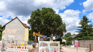 Die Baustelle in der Feudenheimer Talstraße 44, in der Mitte die Rosskastanie und an der Hauswand Reste alter Wandmalereien.