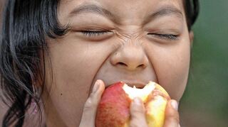 Weiterhin kraftvoll zubeißen können die Kinder, der Obstbau-Betrieb Hauck liefert nach den Pfingstferien jetzt doch.