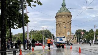 Die Planken sind erst der Anfang: Mit verschiedenen Maßnahmen soll die Stadt in Zukunft sauberer gehalten werden.