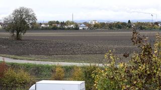 Das Baugebiet zwischen Riedlangstraße und B44 in Rheingönheim soll ab 2024 von Förderungen des Landes profitieren.