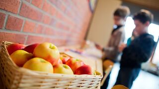 Mannheimer Schulen sollen auch in Zukunft mit Obst beliefert werden, doch einige sind für den Lieferanten nur schwer zu erreichen. (Symbolbild)