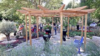 Ellen Oswald führt die Gruppe durch den Garten der Partnerstädte. Hier ist der Teilgarten der Gruppe aus Haifa (Israel) zu sehen.