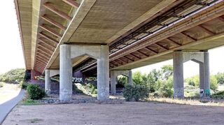 Unter der Autobahn: Wie ein riesiges Sonnensegel wirkt die Brücke der A 6 über den Neckar zwischen Seckenheim und Feudenheim.