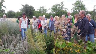 Kräuterführung im Allmende-Waldgarten in Neckarhausen: Links im Bild die fachkundige Leiterin Corinna Heyer.