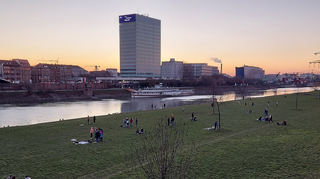 Mannheims Neckarwiese.