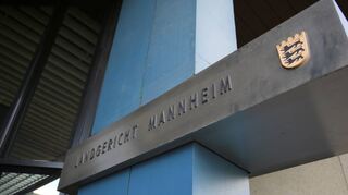 Sechs Jahre und drei Monate schickt das Mannheimer Landgericht einen Mann ins Gefängnis, der für insgesamt 18 Einzeltaten angeklagt war.