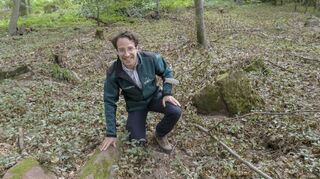 Tillmann Friederich, Abteilungsleiter Forst beim Landschafts- und Forstamt, freut sich über viele junge Eichen, die den Waldboden bedecken.