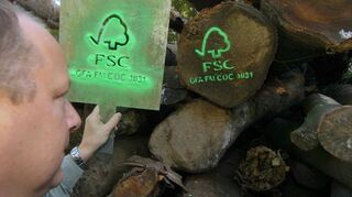 Schon heute kauft die Stadt Mannheim nur Holzprodukte mit FSC-Standard. In deutschen Wäldern steht der FSC und sein Label für eine nachhaltige Waldwirtschaft.