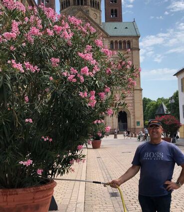 Die Oleander auf der Maximilianstraße gießt die Abteilung Stadtgrün weiter selbst – Aber auch Einwohner sollen zu Gießkanne und Wasserschlauch greifen.