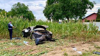 Der Porsche kam nach dem Unfall in einem Maisfeld zum Stehen.