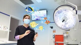 Unterwasserwelt: So sieht das 3D Pain Distraction System aus.