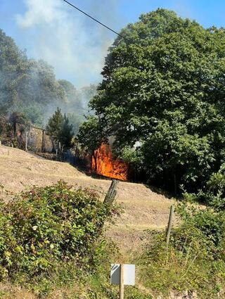 Unterhalb des Hambacher Schlosses brennt es. Anwohner sollen Fenster und Türen geschlossen halten.