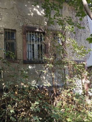 Der Garten ist nach jahrelangem Leerstand verwuchert.