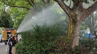 Die Freiwillige Feuerwehr unterstützt aufgrund der anhaltenden Trockenheit den Eigenbetrieb Stadtraumservice beim Gießen der Bäume.