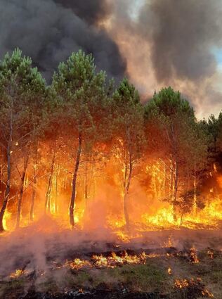 Im schlimmsten Fall kann ein falsch geparktes Auto ein großes Feuer verursachen (Symbolbild).
