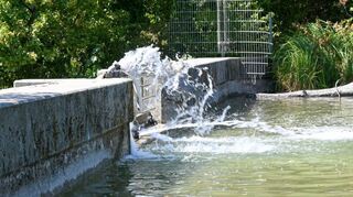 Vier Notpumpen sorgen am Vogelstangsee dafür, dass Wasser vom unteren in den oberen See gepumpt wird, um Wasserverluste zu kompensieren.