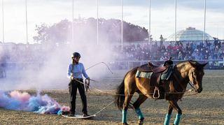 Die Equitana Open Air gastiert von Freitag bis Sonntag auf dem Maimarktgelände und kündigt in ihrem Programm verschiedene Shows an.